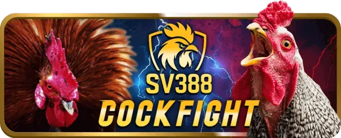 Banner quảng cáo